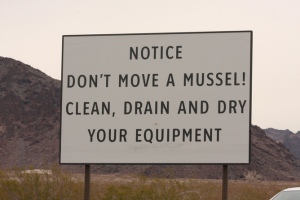 Instructions to boaters at Lake Mead, Nevada to prevent quagga mussel transportation. Source: JN Stuart. (CC BY-NC-ND 2.0).